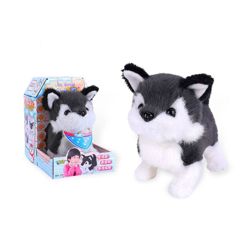 Electric pet plush dog