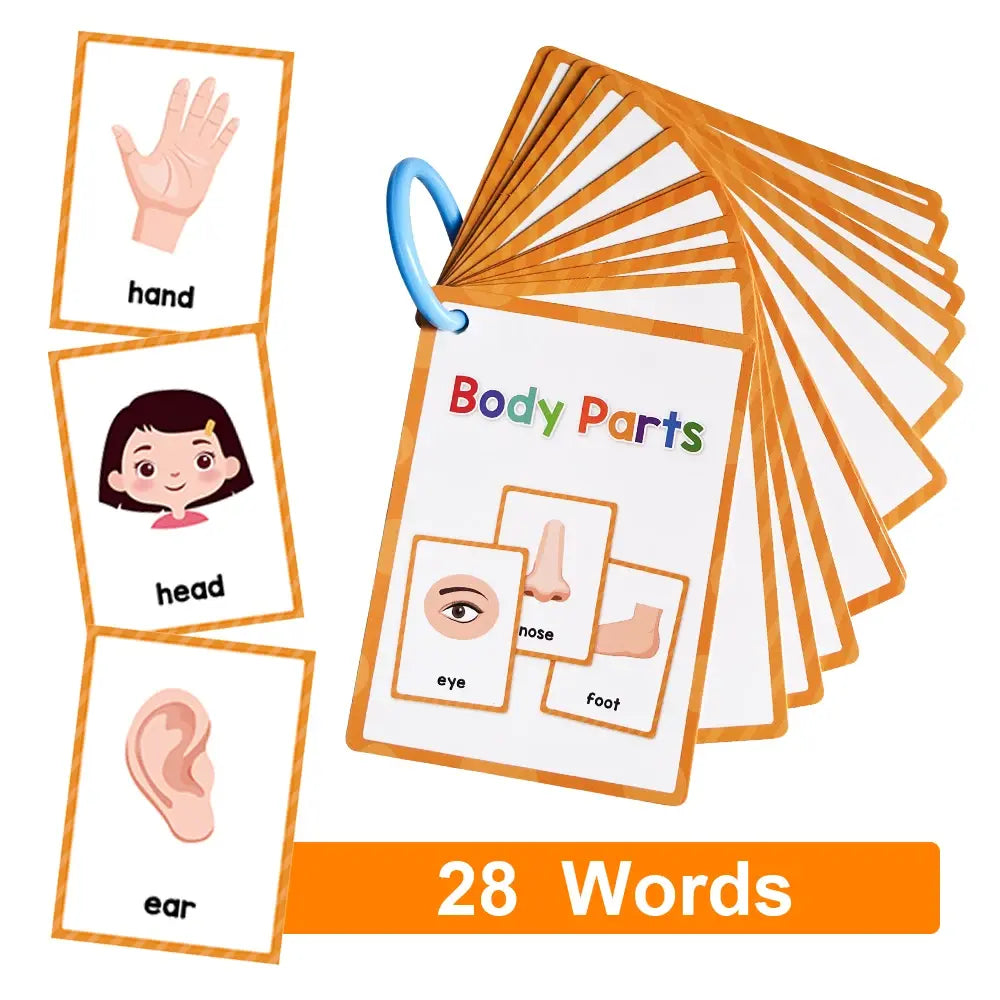 BrightMinds First Words Flash Cards