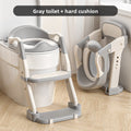 StepUp 3-in-1 Potty Training Seat