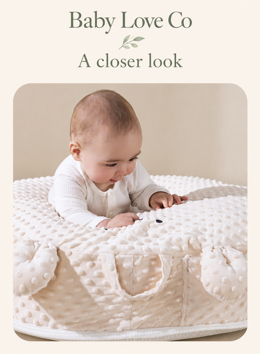LittleLift Feeding Cushion
