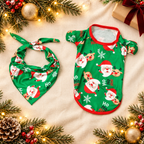 Santa's Cozy Family Pajama Set