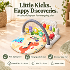 PlayNest Discovery Gym