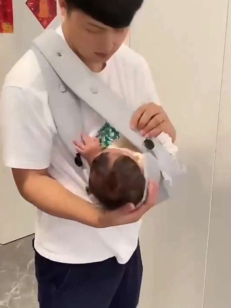 LittleNest Baby Carrier