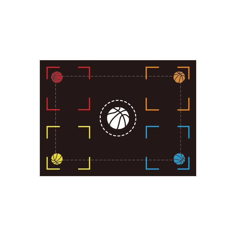 ProStep Basketball Footwork Training Mat